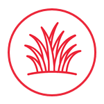 Grasses Icon
