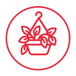 Houseplants Icon