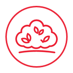 Shrubs Icon