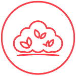 Shrubs Icon