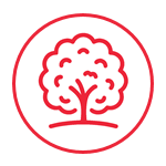 Trees Icon