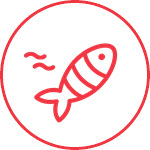 Live Baits Icon