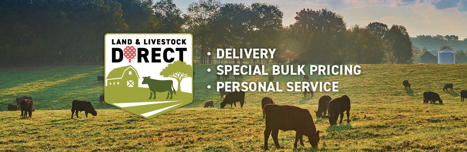 Land & Livestock Direct banner featuring cows grazing in a green pasture with the benefits Delivery, Special Bulk Pricing, and Personal Service.