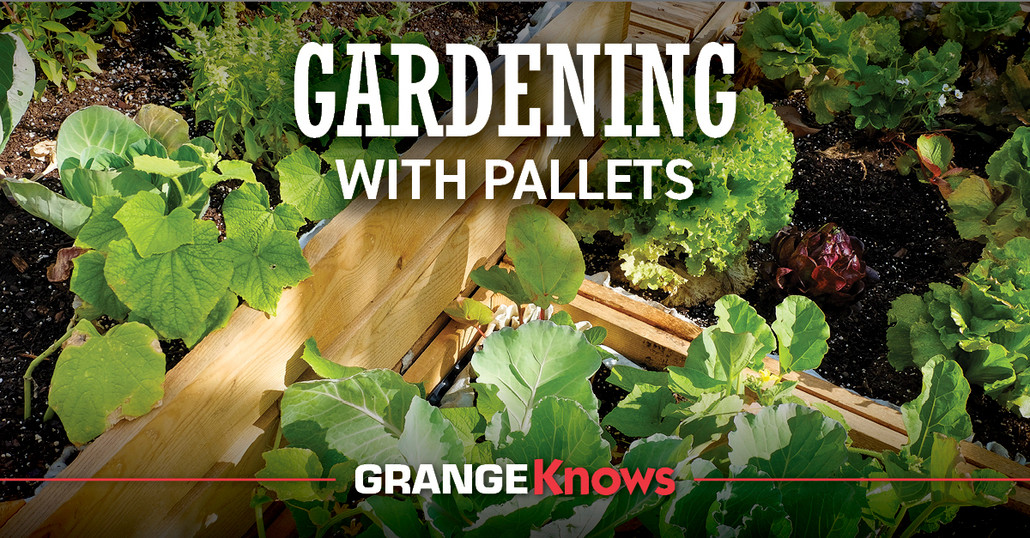 Gardening with Pallets