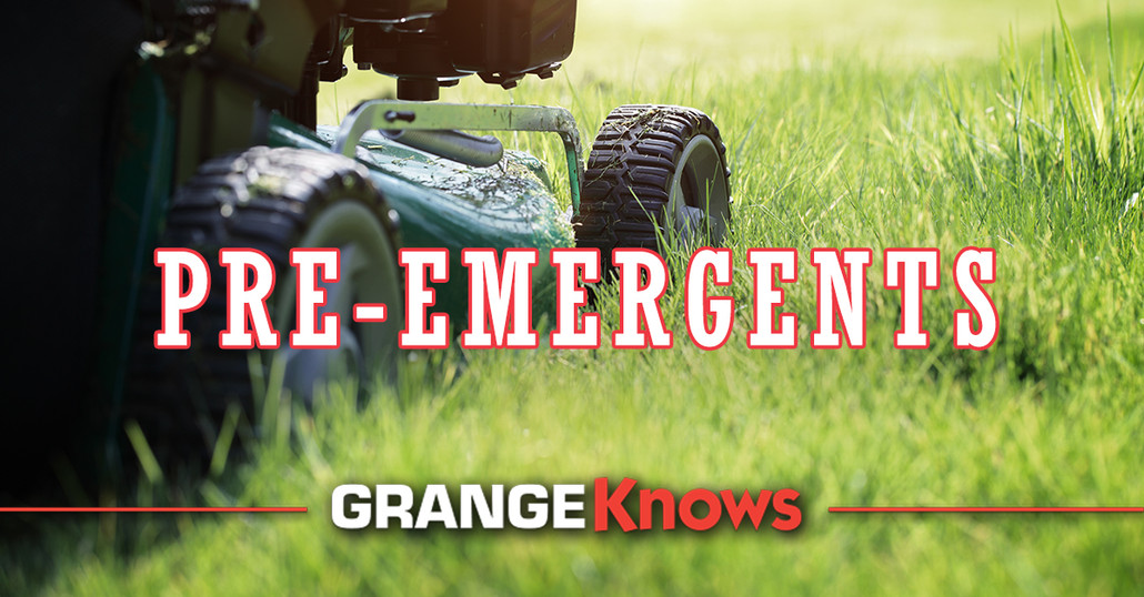 Pre-Emergent Treatments and Maintaining Lawn Fertilizer