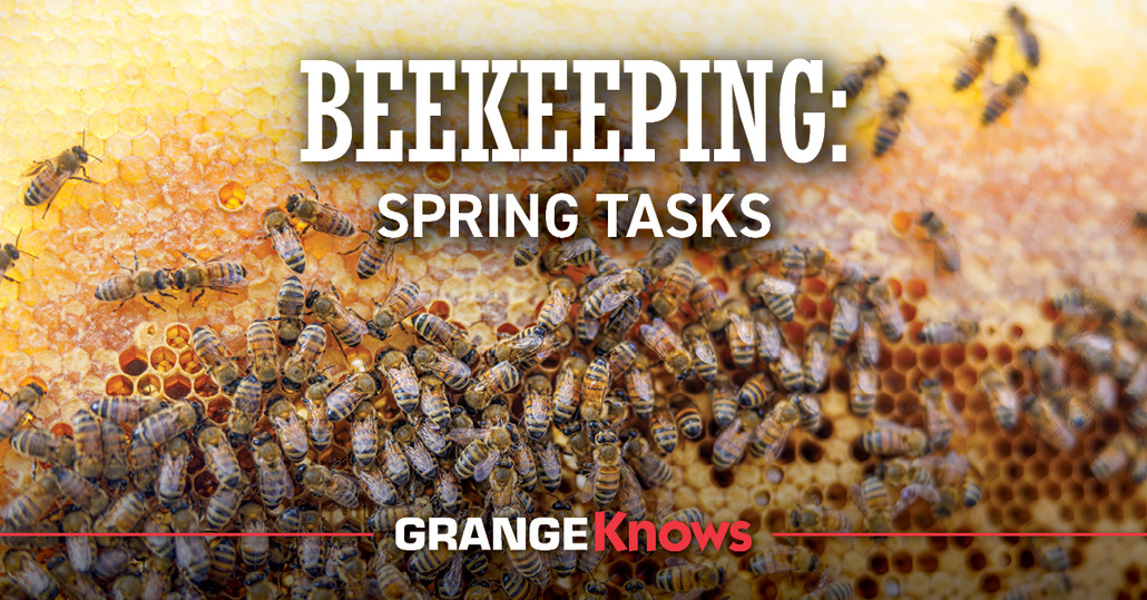 Beekeeping Spring Tasks