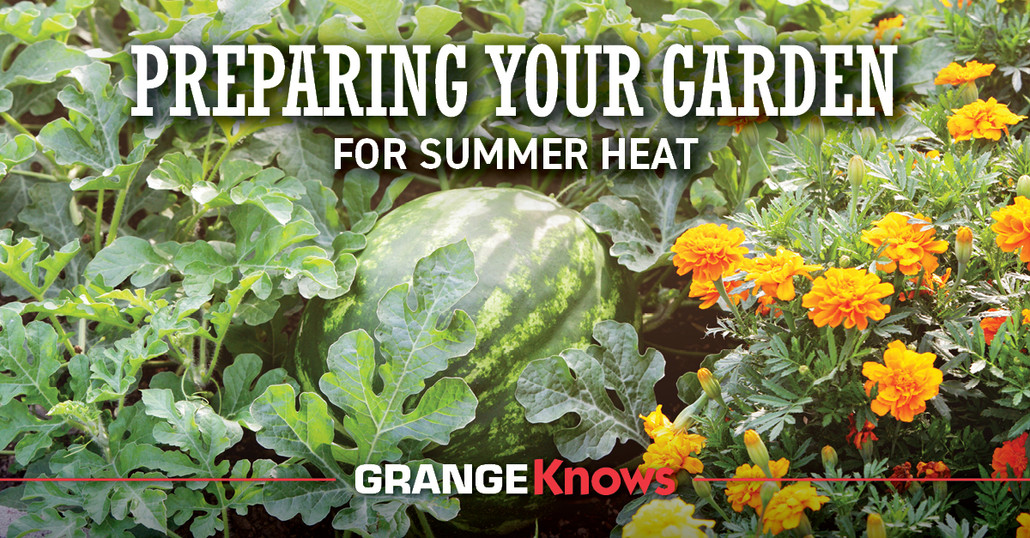 Prepping Your Garden for Summer Heat