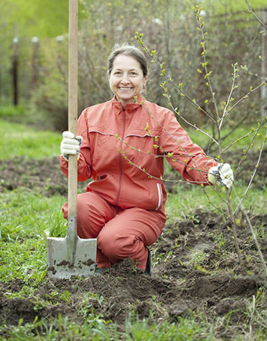 April Lawn & Garden Tips April Lawn & Garden Tips