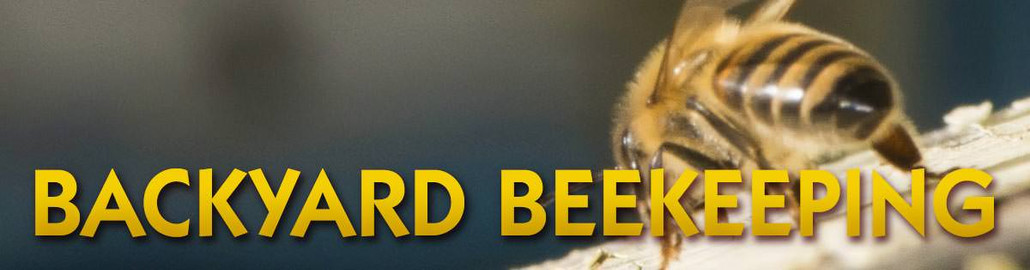 Backyard Beekeeping