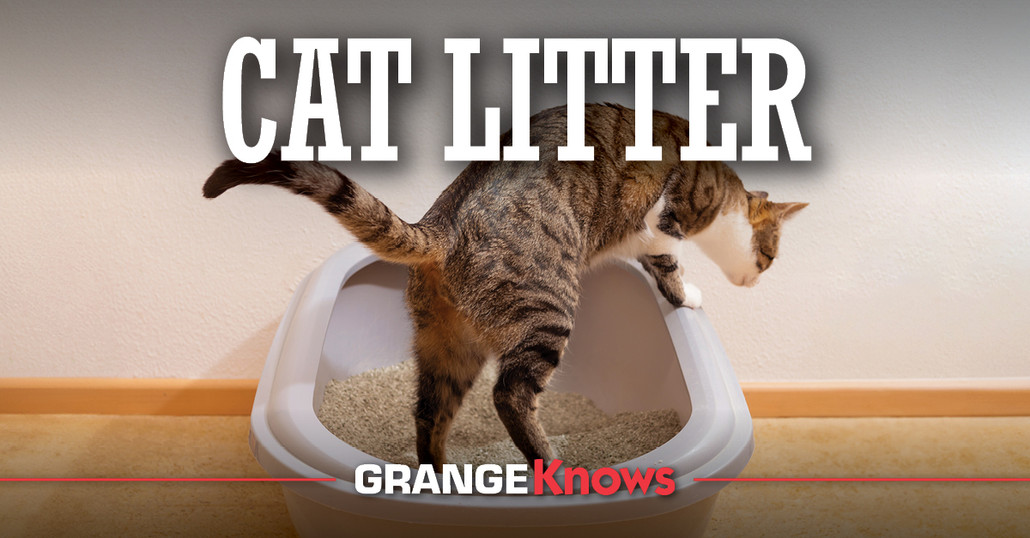 Cat Litter 