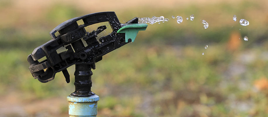 Drought Season Garden Tips