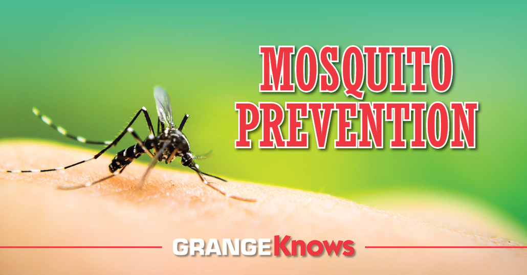 Mosquito Prevention Around your Home