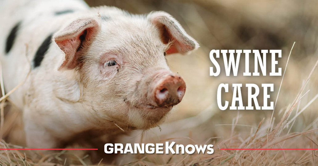 Swine Care and Nutrition