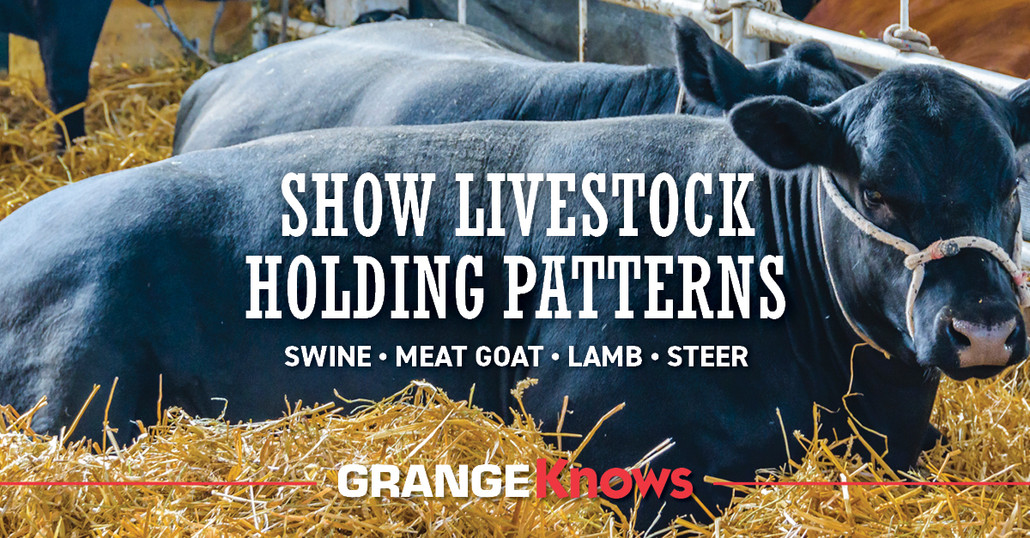 Livestock ADG - Show Livestock Holding Patterns