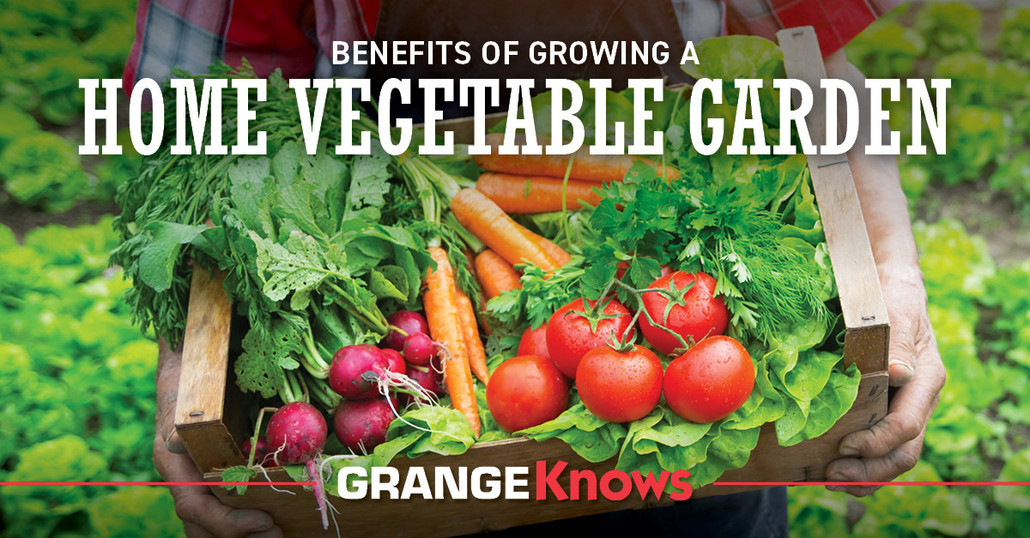 Benefits of Growing A Home Vegetable Garden