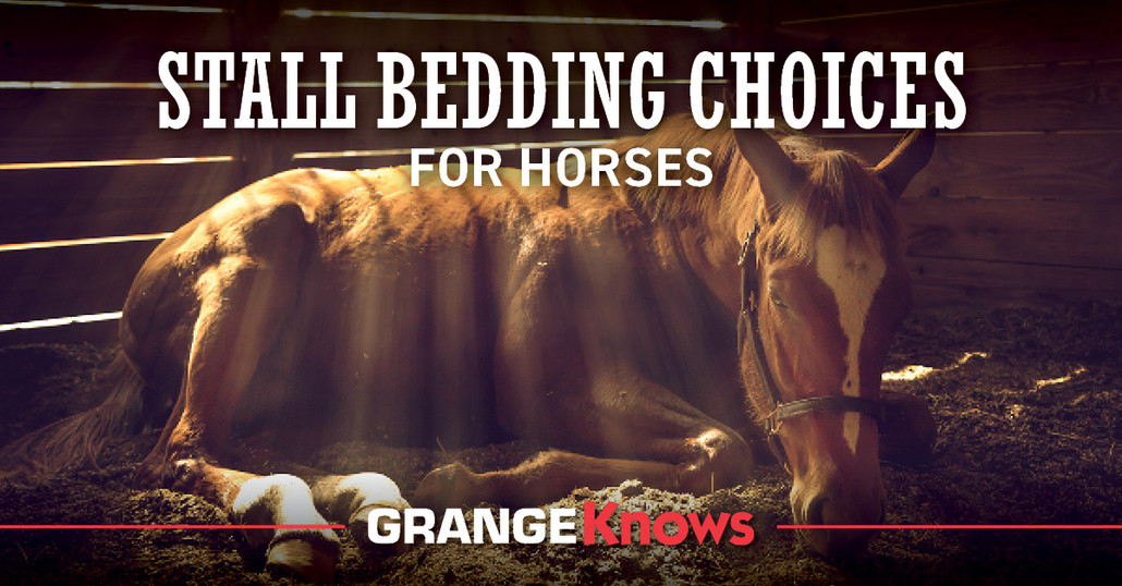 Stall Bedding Choices for Horses