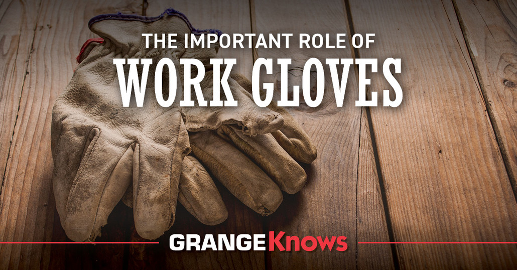 The Important Role of Work Gloves