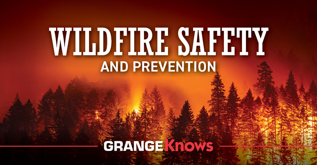 Wildfire Safety and Prevention Wildfire Safety and Prevention