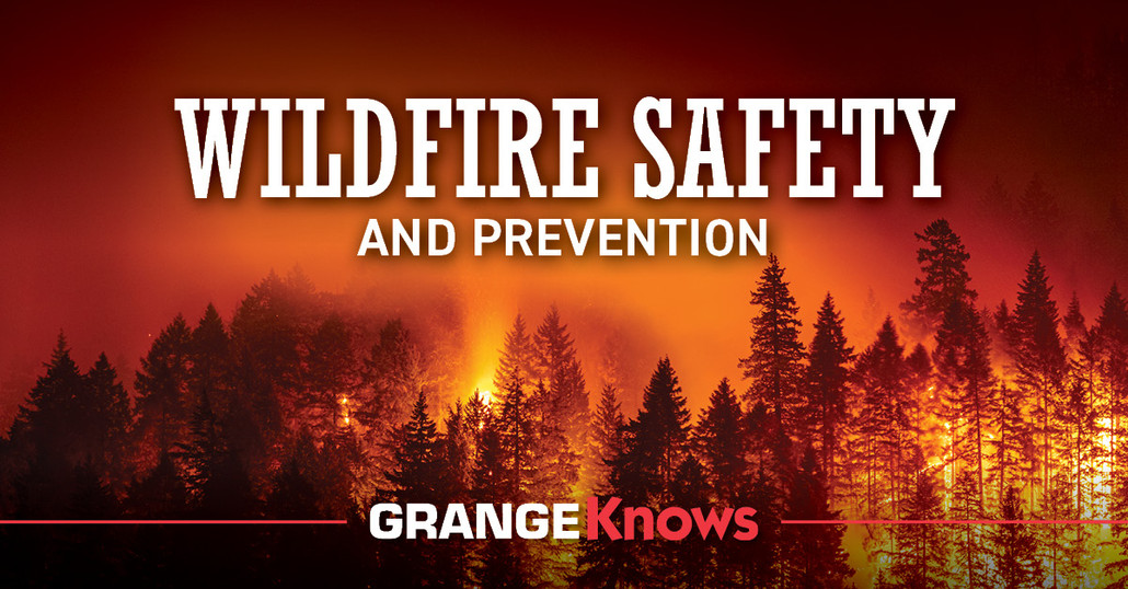 Wildfire Safety and Prevention