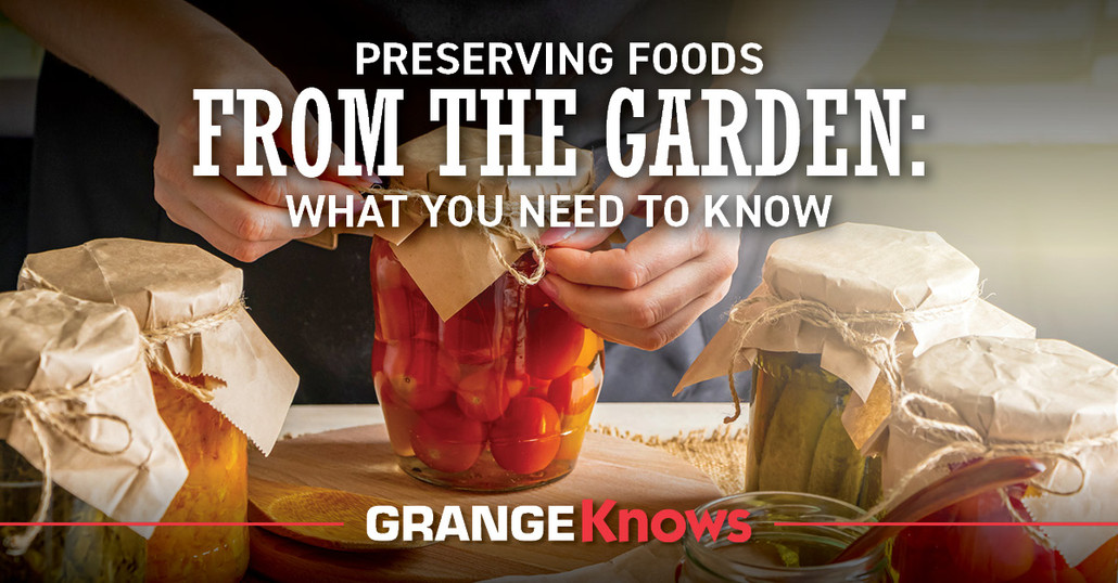 Preserving Foods from the Garden: What You Need to Know