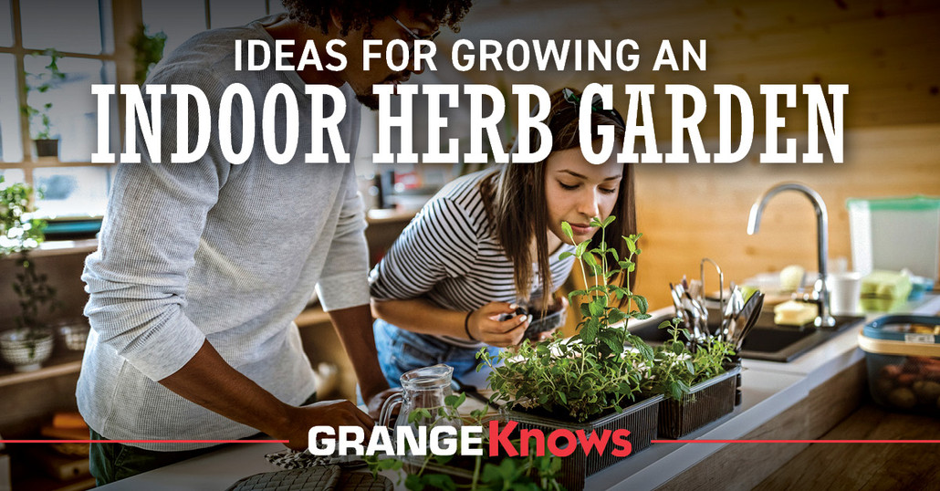 Ideas for Growing an Indoor Herb Garden