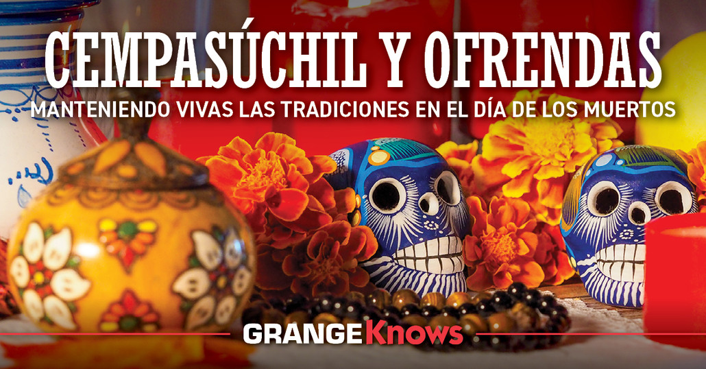 Cempasuchil Y Ofrendas - Manteniendo Vivas Las Tradiciones En El Dia De Los Muertos