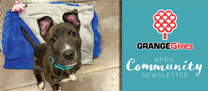 Community Newsletter April 2023