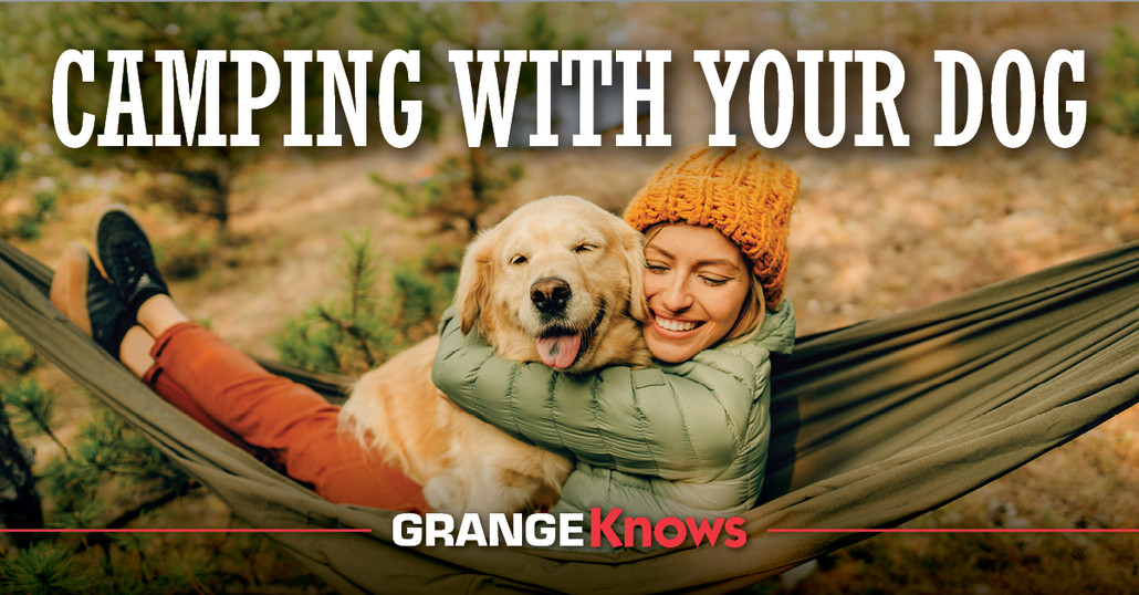 Camping with your Dog Camping with your Dog