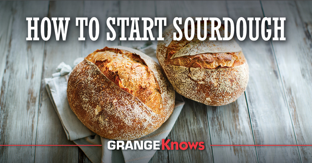 How to Start Sourdough How to Start Sourdough