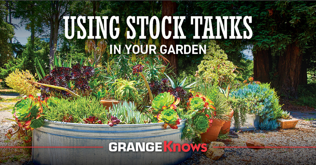 Using Stock Tanks in Your Garden