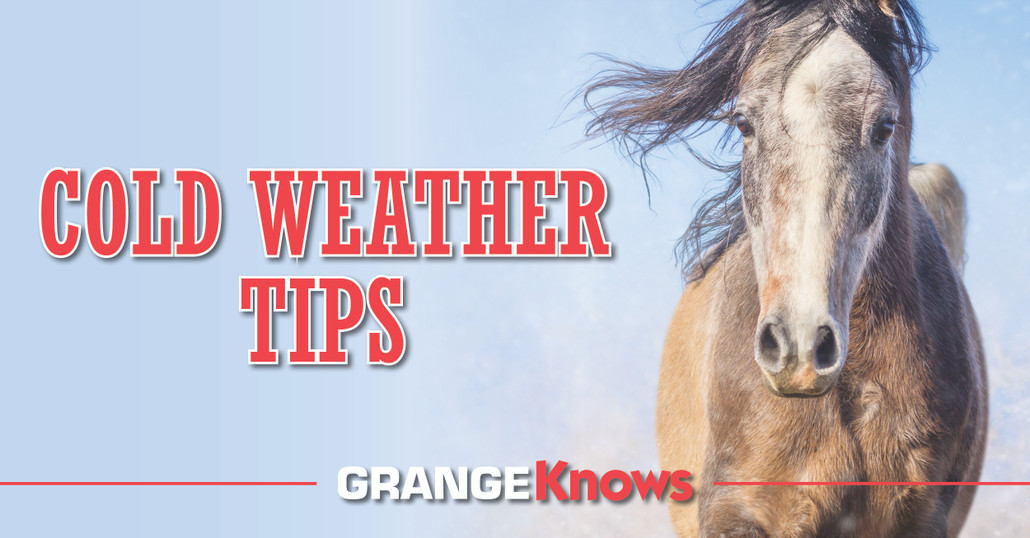 Cold Weather Tips for Equine Care
