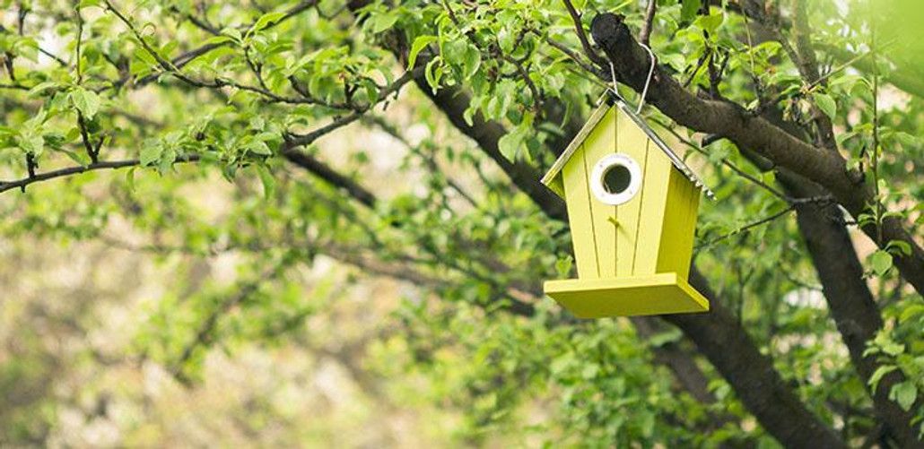 How to Choose a Bird House