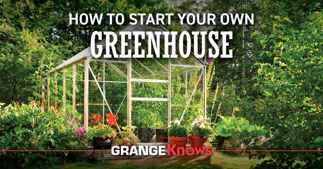 How to Start Your Own Greenhouse How to Start Your Own Greenhouse