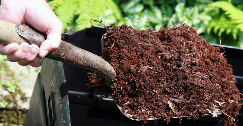 Mulching for a Healthy Soil and EcoSystem