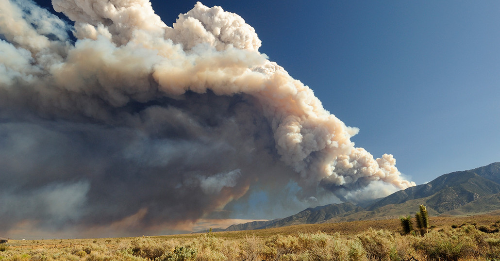 Wildfire Smoke Protection for Humans, Pets & Livestock