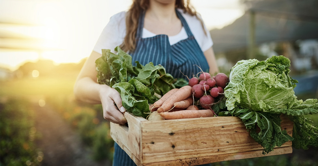 Vegetable Gardeners: June is NOT Too Late!