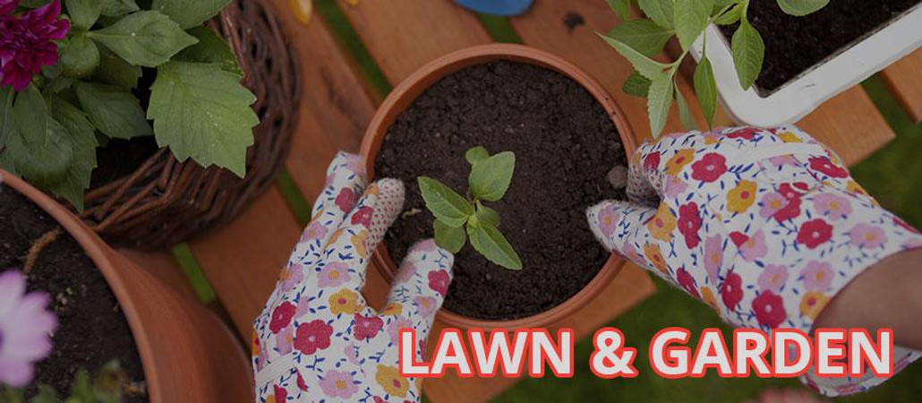 Video Tips - Planting Vegetables Video Tips - Planting Vegetables