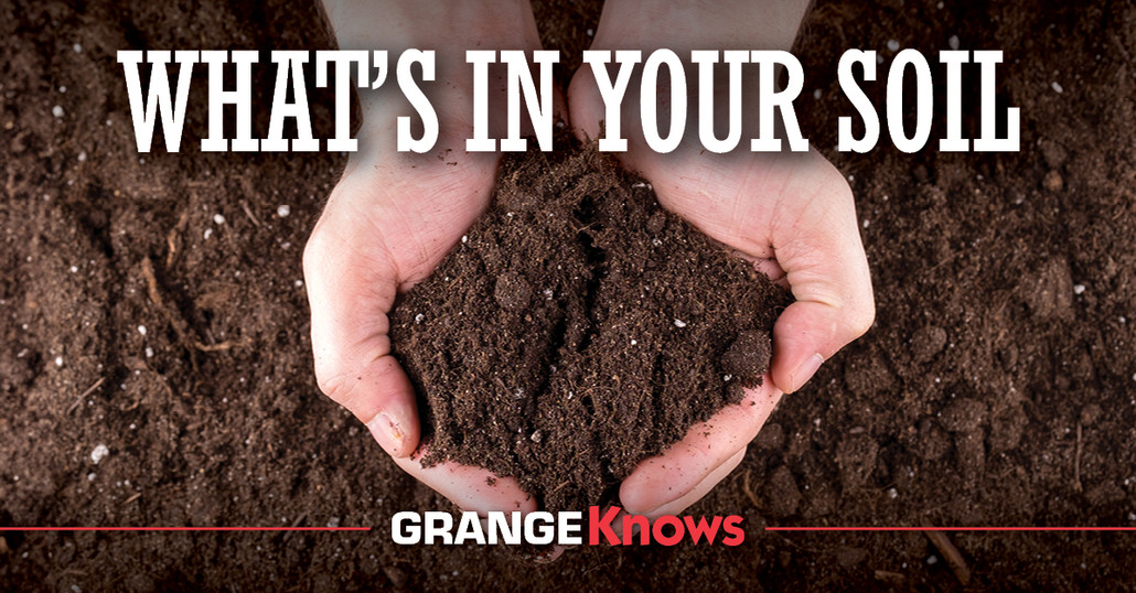 What's in Your Soil What's in Your Soil