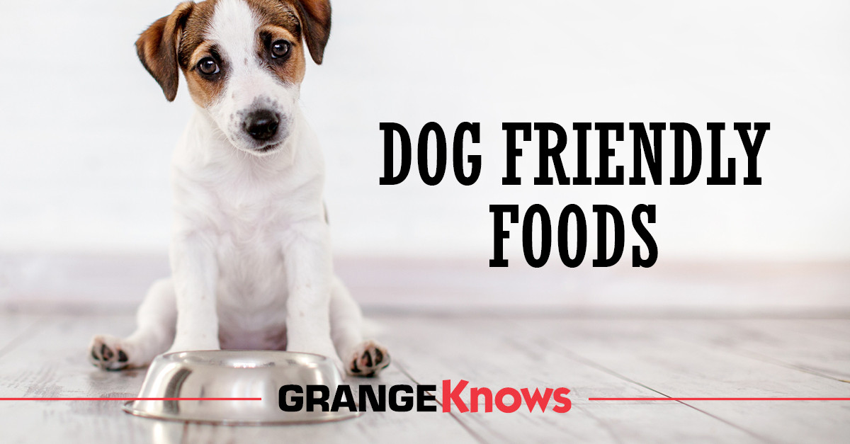 Fruits and Vegetables Dogs Can and Cannot Eat Grange Coop