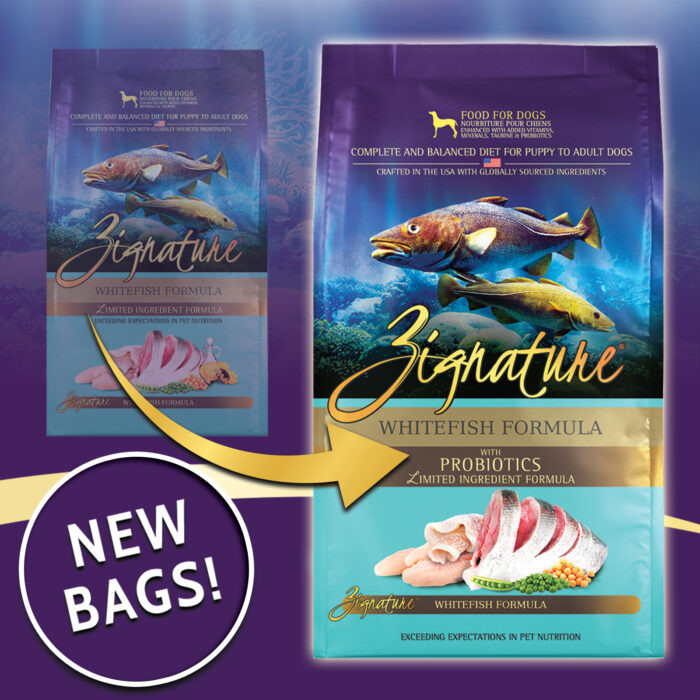 Dog Supplies Zignature Catfish Dog Food Review Hot Zignature