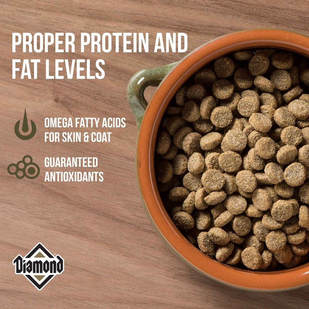 Diamond Maintenance Formula Adult Dry Dog Food