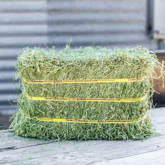 Standlee Certified Alfalfa Compressed Bale - 50 lb