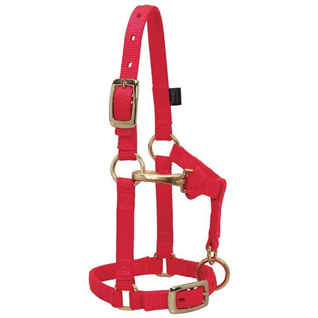 Weaver Leather Average Miniature Horse Adjustable Halter - Red