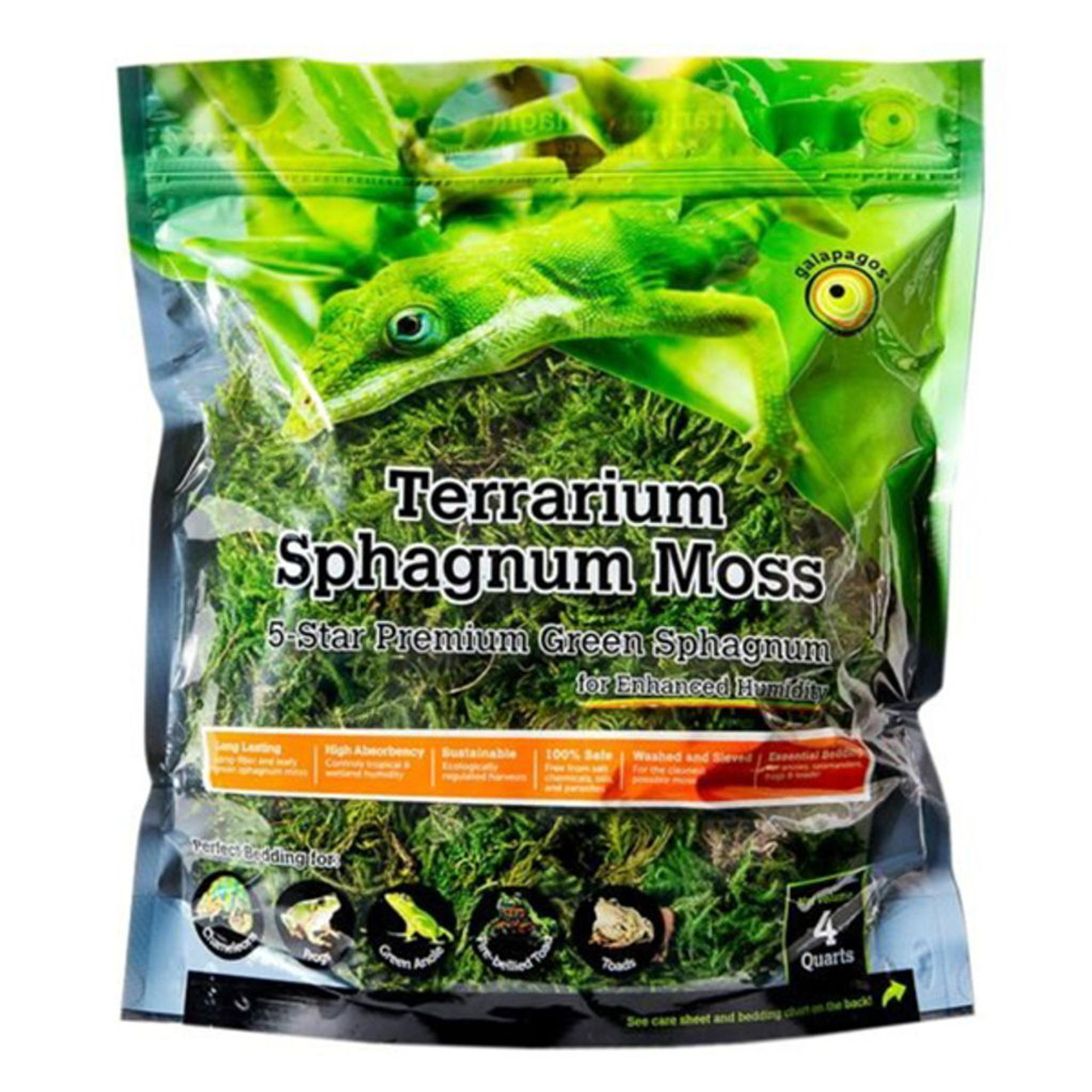 Galapagos Green Sphagnum Moss