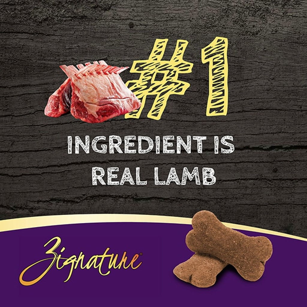 Zignature Limited Ingredient Formula Lamb Biscuits Ziggy Bar Dog Treat