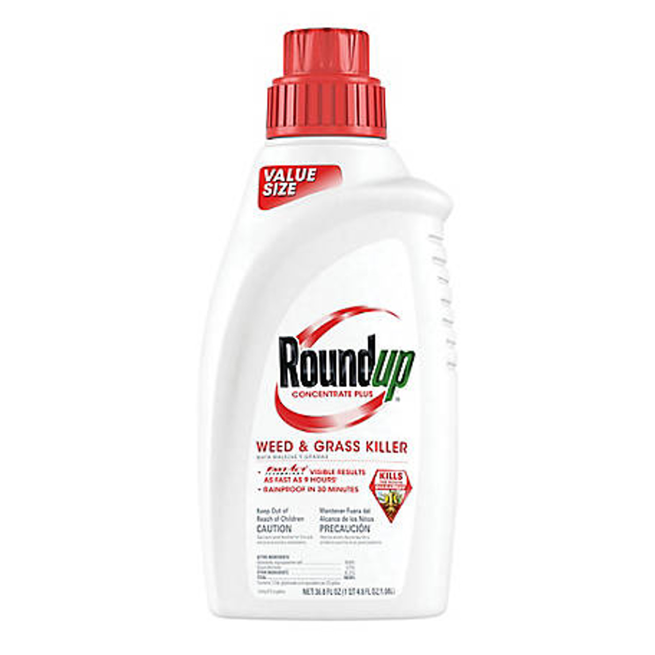 Roundup Weed and Grass Killer Concentrate - 36.8 oz