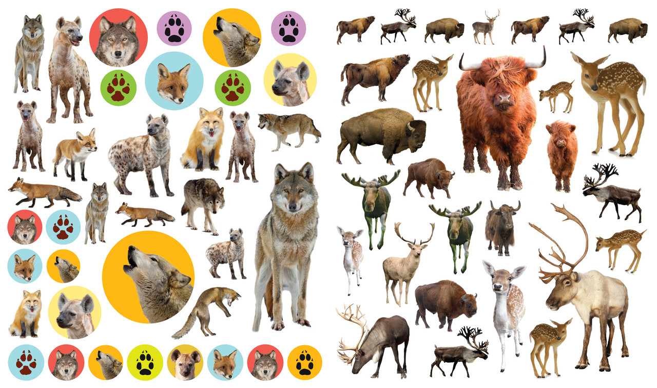 Wild for Animals Repositionable Sticker Book