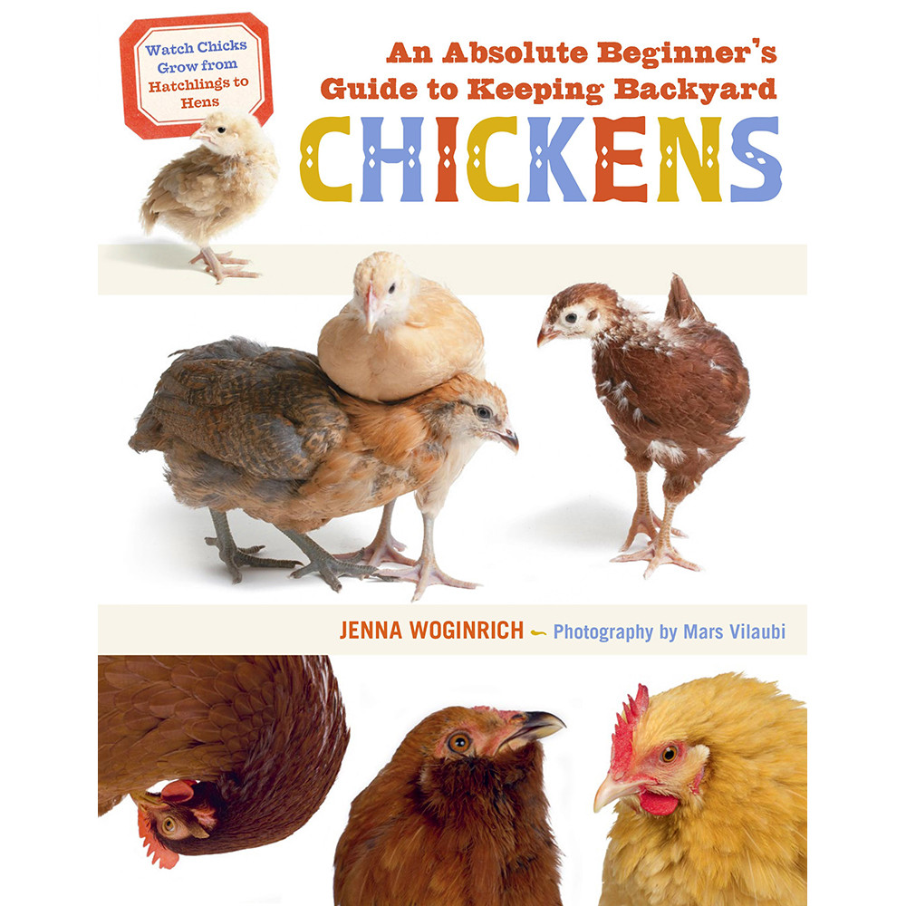 Workman An Absolute Beginner's Guide to Keeping Backyard Chickens