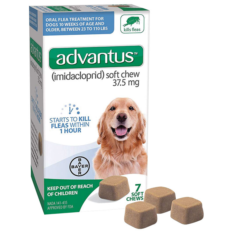 Advantus Flea And Tick Pill Petsmart Chewable Tablets Flea And