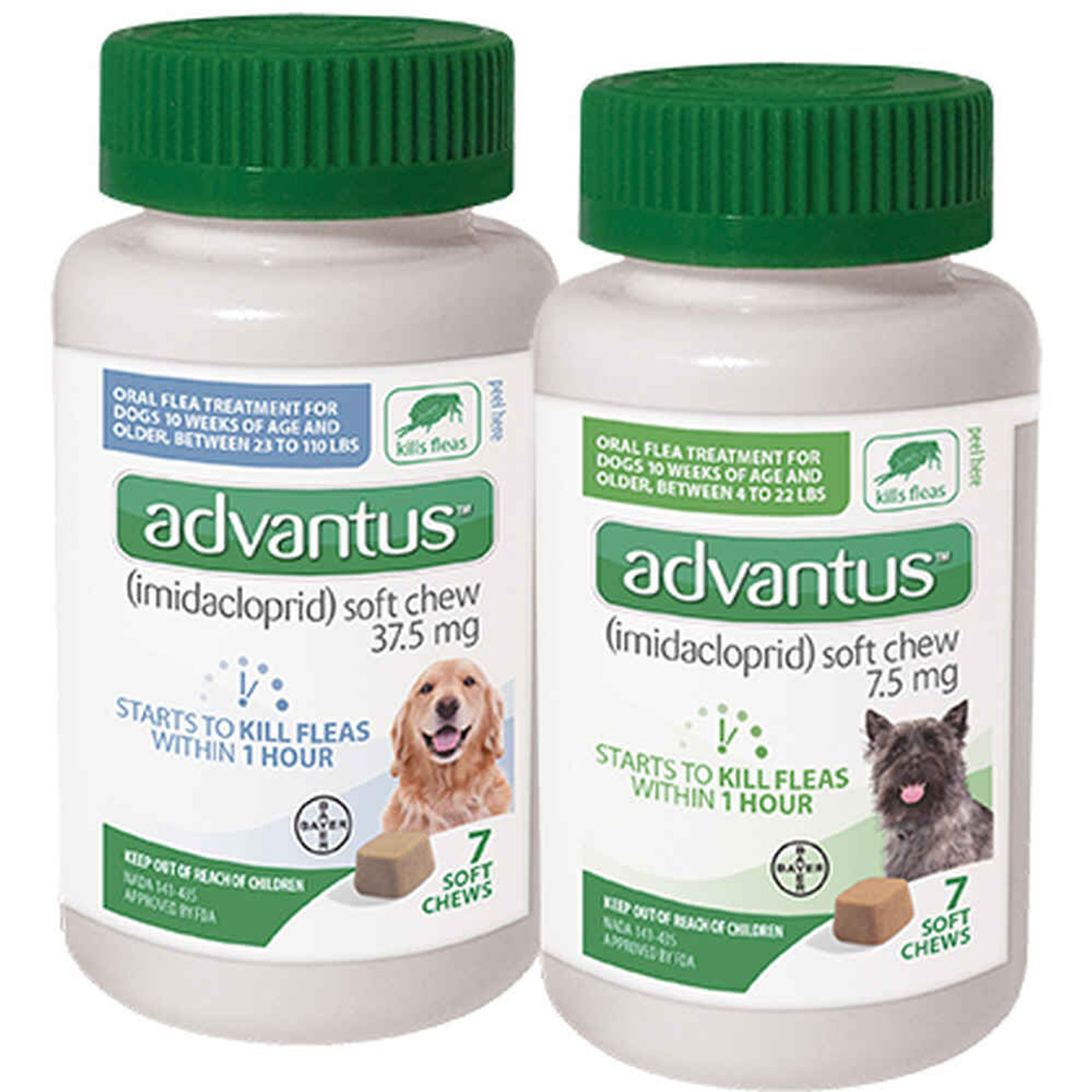 Advantus dog hot sale flea treatment